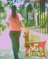 imagen19