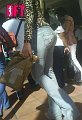 dsc00044