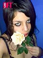 zorra 1