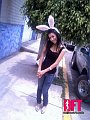 aborss437573-02